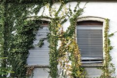 05-14 - Vergänglichkeit 